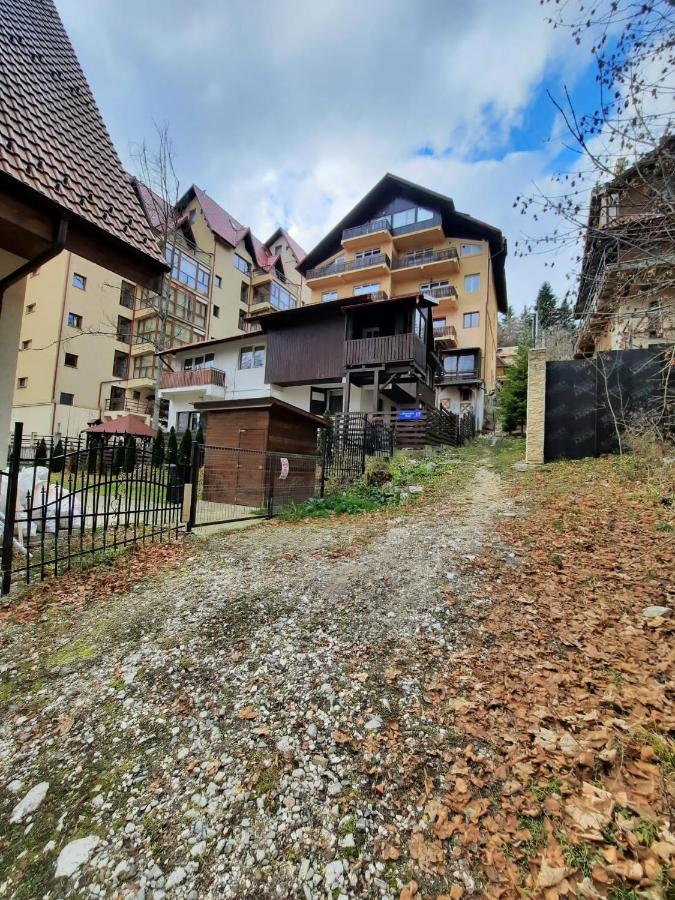 Studio Furnica Sinaia Ngoại thất bức ảnh